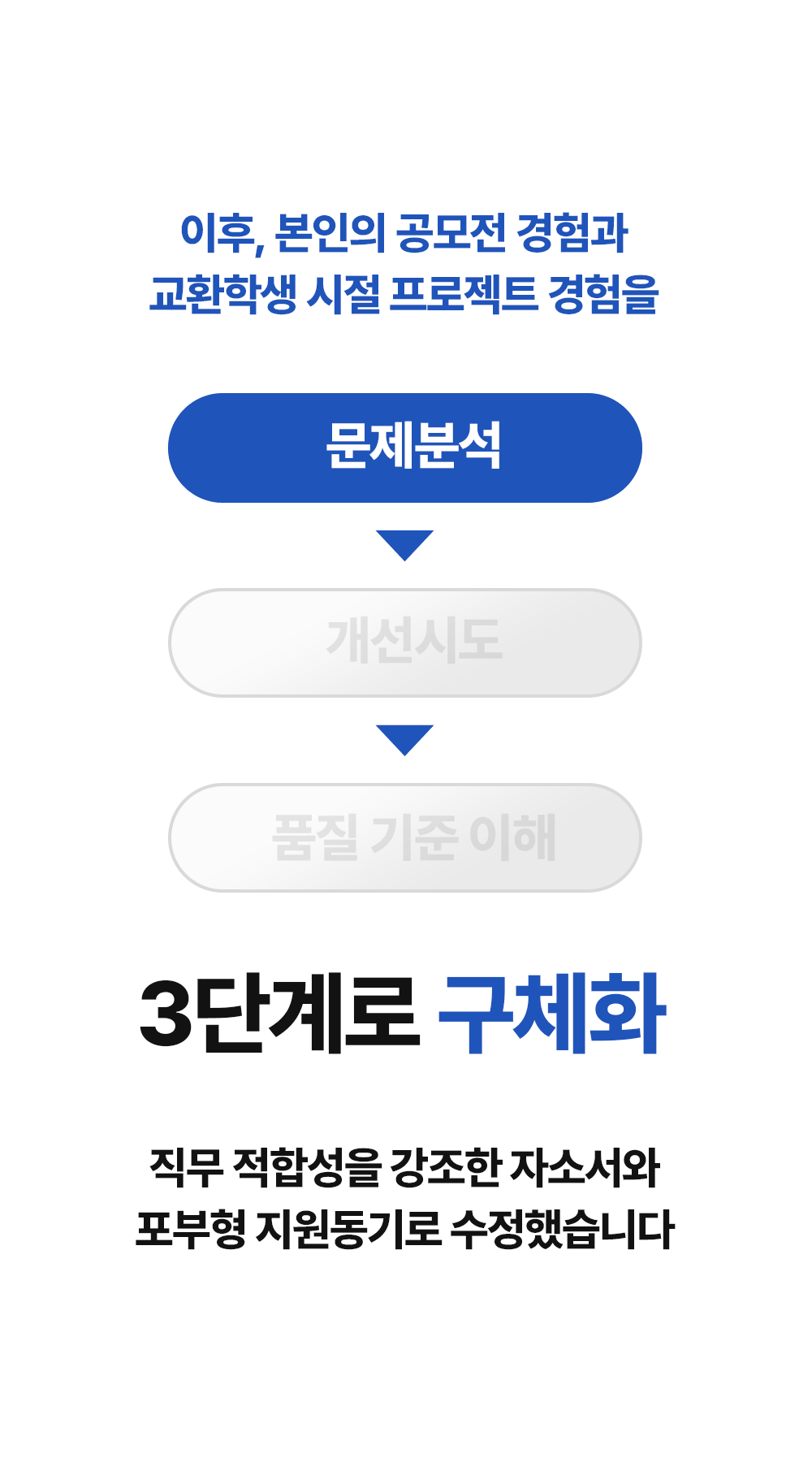 바이블 소개 24